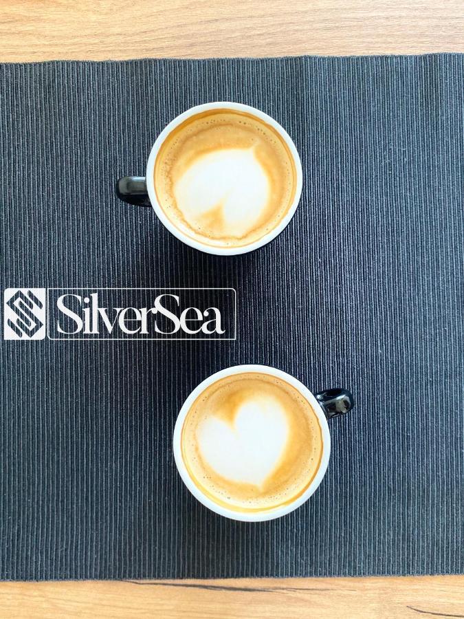 Silversea Apartman Šabac 外观 照片